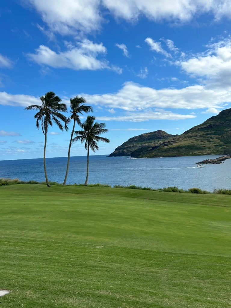 Golf course with palm trees